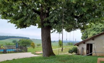 Auberge Casa Sana