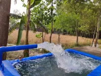 Punjab Village Farm near Amritsar - Homestays