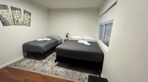 White Alpacas - Super Clean & Budget Guesthome