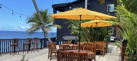 5 Nights Left in March  1 BR Oceanfront Condo Sleeps 4! Cane Bay! ST CROIX, USVI