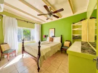 Ocean Paradise: 6Br, 5BA, Pool, OceanFront Villa with a Private Beach