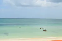 VIDA Chelem- MAR vacation property