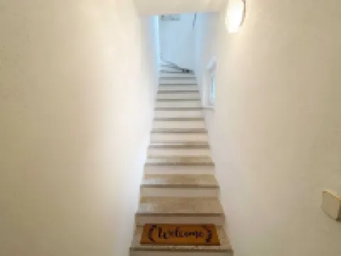 At home in the love nest