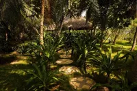 Isla Amor! Hotels in 