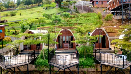 Glamping at Taman Wisata Alam Sevillage Puncak