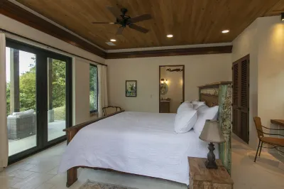 Walk to world famous Maho Bay! Privacy, views, pool, 4 equal king size bedrooms. Hotels near Trunk Bay