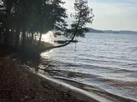 Lake side cottage w- sand beach. 13 acres-forest, steams & waterfalls to explore