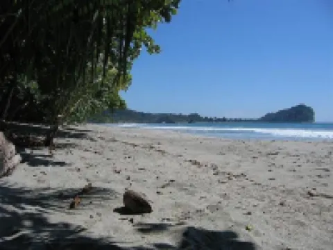 Paradise Awaits! Beach Bliss & Wildlife Thrills – Only 10 Minutes Away! Sleeps 3