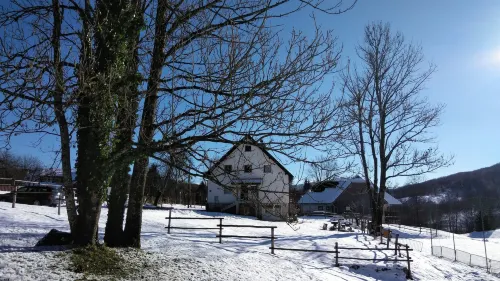 Guesthouse Bor Plitvice Lakes In der Nähe des Hotels Photos