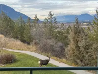 2 Bedrooms & 2 Bathrooms | End Unit | Great West Facing View | Hot Tub and Pool
