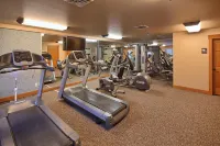 Lakeside Lodge and Suites - Gym