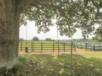 Orchard View
