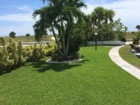 Beachside Resort Motel Hotels near Walter Fuller Complex