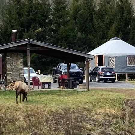 Maggie Valley Cabin Rentals