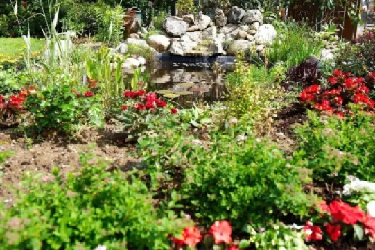 Hotel la Roseraie Hotels in 