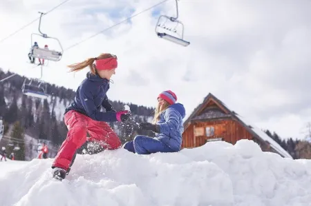 Pension am Lackenbach Отели в г. Scheibbs