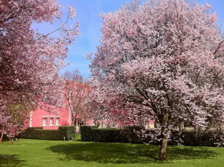 Hotel San Camilo Отели в г. La Rioja Province