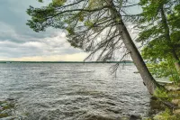 Private Dock on Messalonskee Lake: Cozy Cottage! - Parkplatz