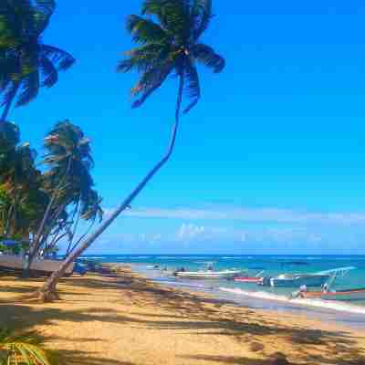La Dolce Vita Beachfront Hotels, Las Terrenas, Samana Fitness & Recreational Facilities