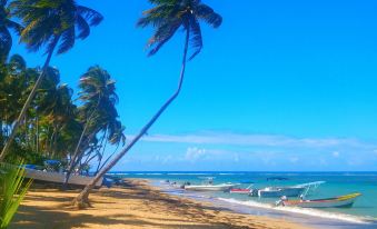 La Dolce Vita Beachfront Hotels, Las Terrenas, Samana