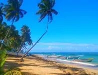 La Dolce Vita Beachfront Hotels, Las Terrenas, Samana