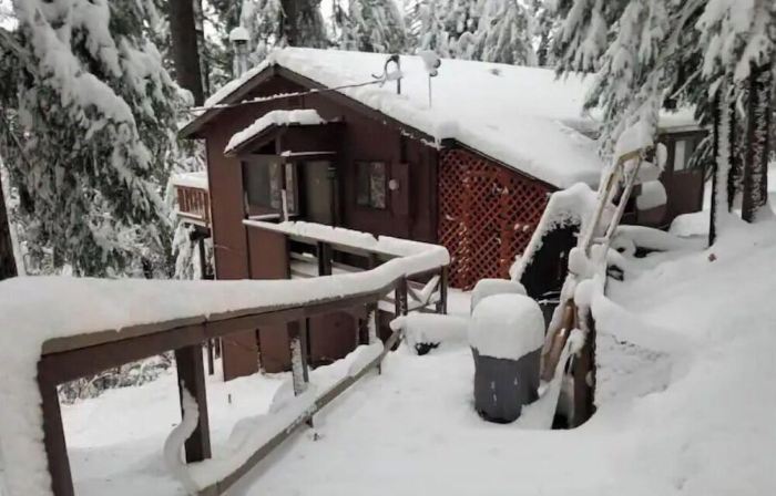 Cedar Pines Cabin w/ Fire Pit & Large Deck - BIG Trees - A Quaint Rustic Charmer