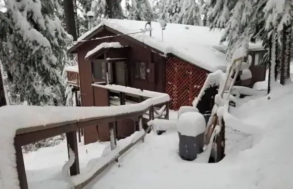 雪松松林配火坑和寬大露台 - 巨木小屋 - 古雅質樸的迷人之選