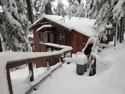 Cedar Pines Cabin w/ Fire Pit & Large Deck - BIG Trees - A Quaint Rustic Charmer Hotels near Pollock Pines Community Church