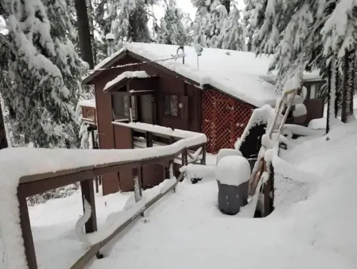 Cedar Pines Cabin w/ Fire Pit & Large Deck - BIG Trees - A Quaint Rustic Charmer