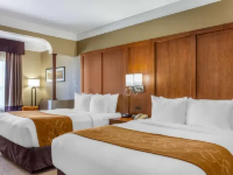 Comfort Suites Plainview Hotels in Plainview