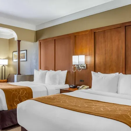 Comfort Suites Plainview Hotels in Plainview