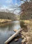 Elk/trout/hunting/star gazing 4 bdrm, 2 bath cabin