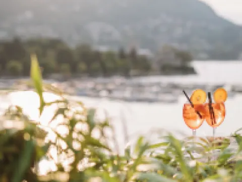 Albergo Terminus Hotels in Como