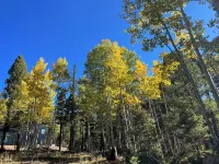*NEW* Modern Rental Retreat in Angel Fire