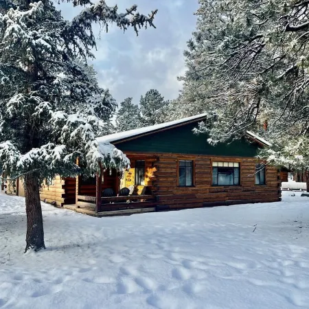 Spacious Family Friendly Cozy Cabin