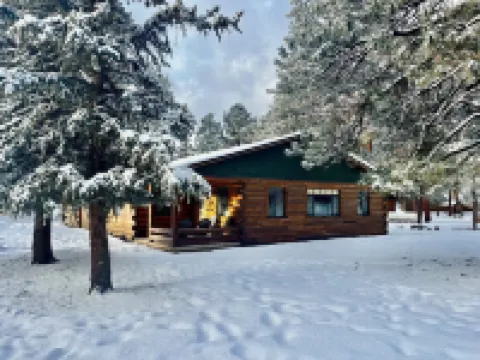 Spacious Family Friendly Cabin
