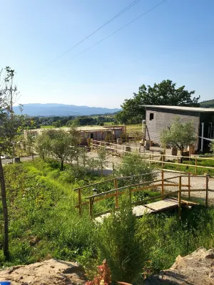 ヴィオヴィラズ アグリツーリズモ グランピング アレッツォ