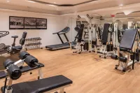 特米努斯星際酒店 - 健身室/gym room