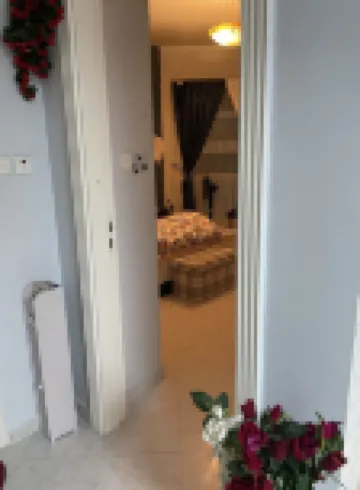 One BHK furnished Appartment