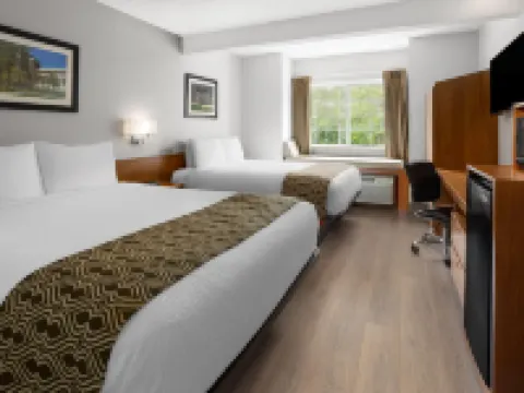Microtel Inn by Wyndham Albany Airport Hotels in Latham