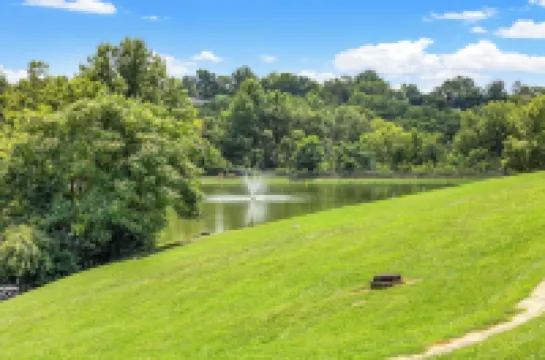 Stylish Comfortable Bluegrass Cottage 7 min to Ark - Fire Pit! Hotels in Dry Ridge