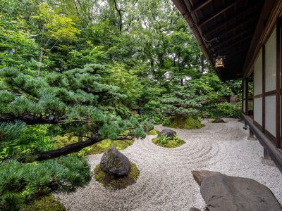 庭 鶴巻温泉 元湯陣屋の写真