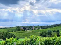 DIE Zeil 5 Ferienwohnung Deluxe im Rheingau - Calm Down Just Relax فنادق في Eltville am Rhein