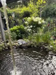 Tree house  lots birds  great location . ..... lots to do all summer long ......