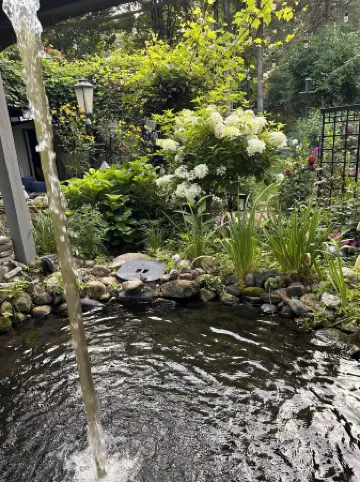 Tree house  lots birds  great location . ..... lots to do all summer long ......