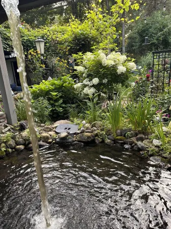 Tree house  lots birds  great location . ..... lots to do all summer long ...... Отели в г. Мейфилд