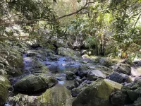 Moulin des Comtes, 4-person gîte in the heart of the Ance valley. Hotels in Viverols