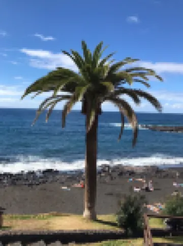 Eco -Finca Vista mar y Teide Hotels in Icod de los Vinos