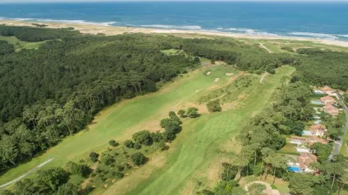 Ocean and forest golf studio