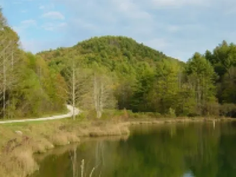 Enjoy 'Treetops' in the North Ga Mountains.  Now with Wifi!